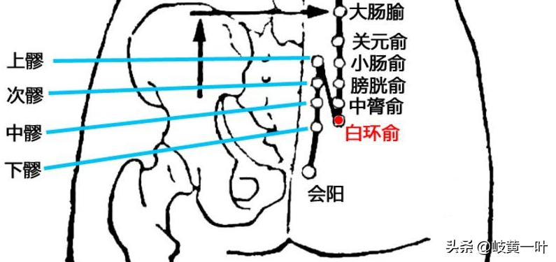 关节炎的辩证针灸，风寒湿痹的辩证论治。