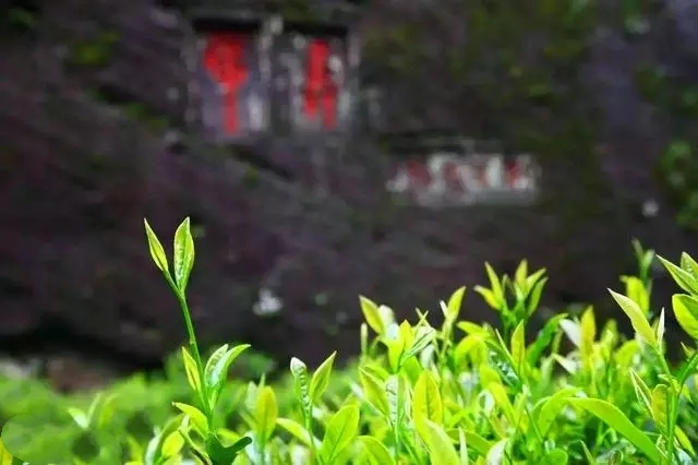 你还记得《莲蓬鬼话》吗？里面那些故事你都看过吗？