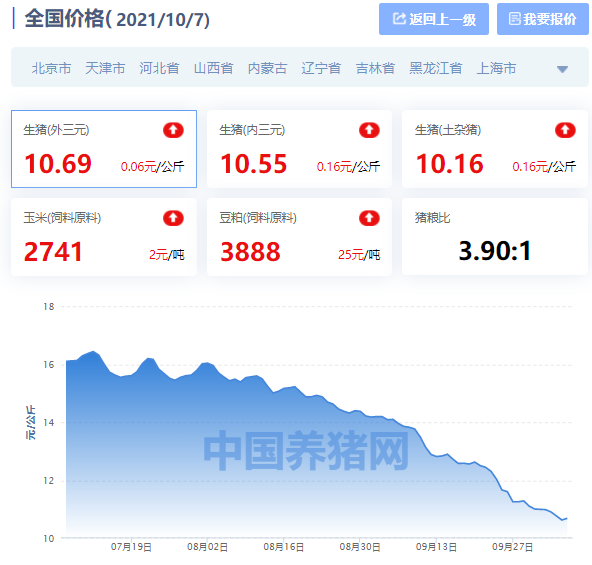 全国生猪价格涨跌表｜2021年10月7日，全线大涨，养猪春天来了？