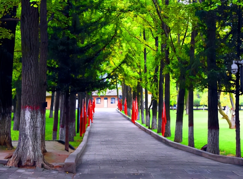 陕西旅游：红色之旅革命圣地延安行（图）