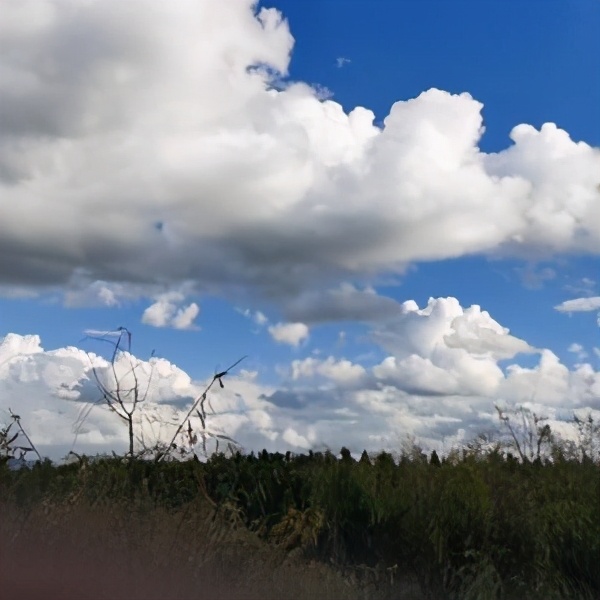 “四厢车”宝骏Valli，车长近4米7配“双人床”