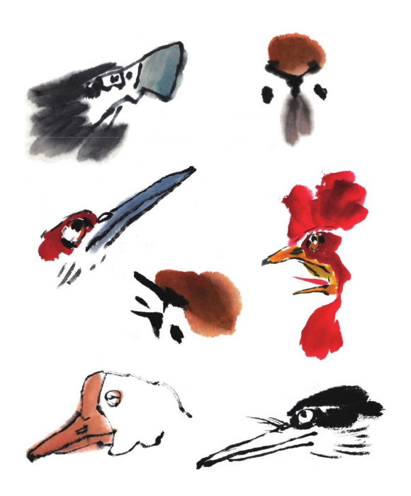 51问还有哪些类型的鸟嘴