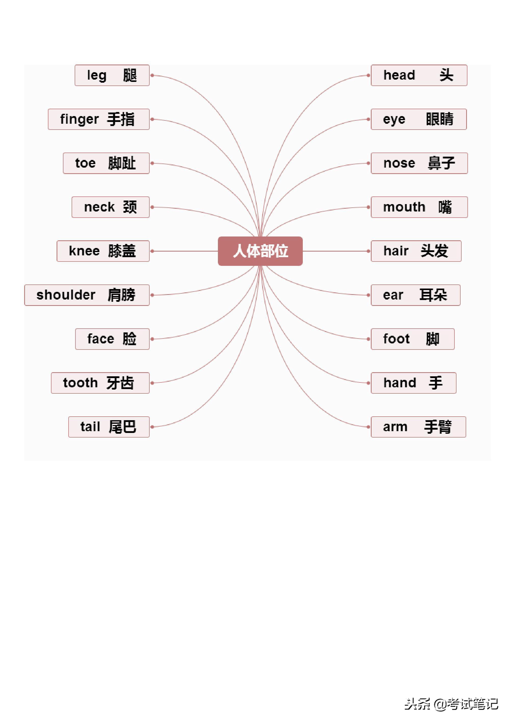 不愧是博士妈妈，将英语单词分类整理，孩子一周记完三年的单词！
