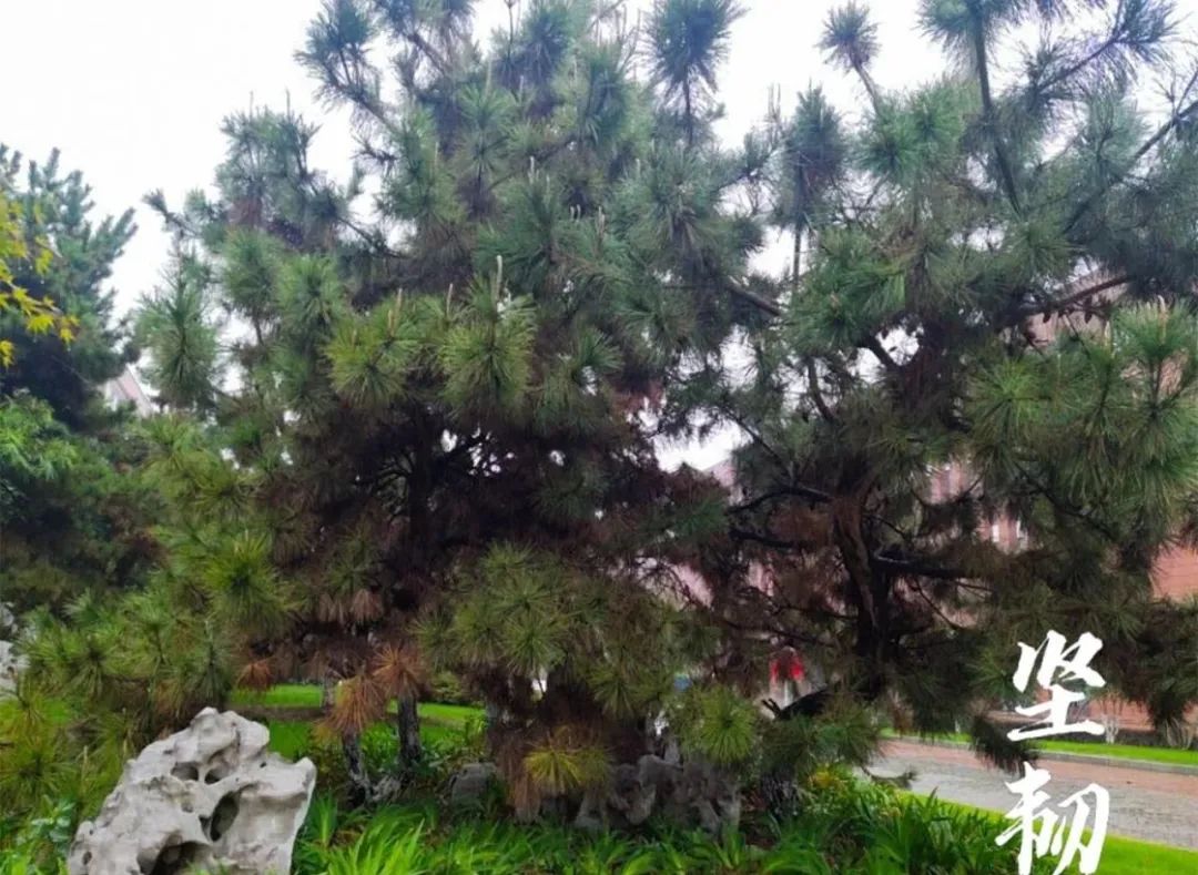 怀德学院“心怀正气 尚德倡廉”文化作品展