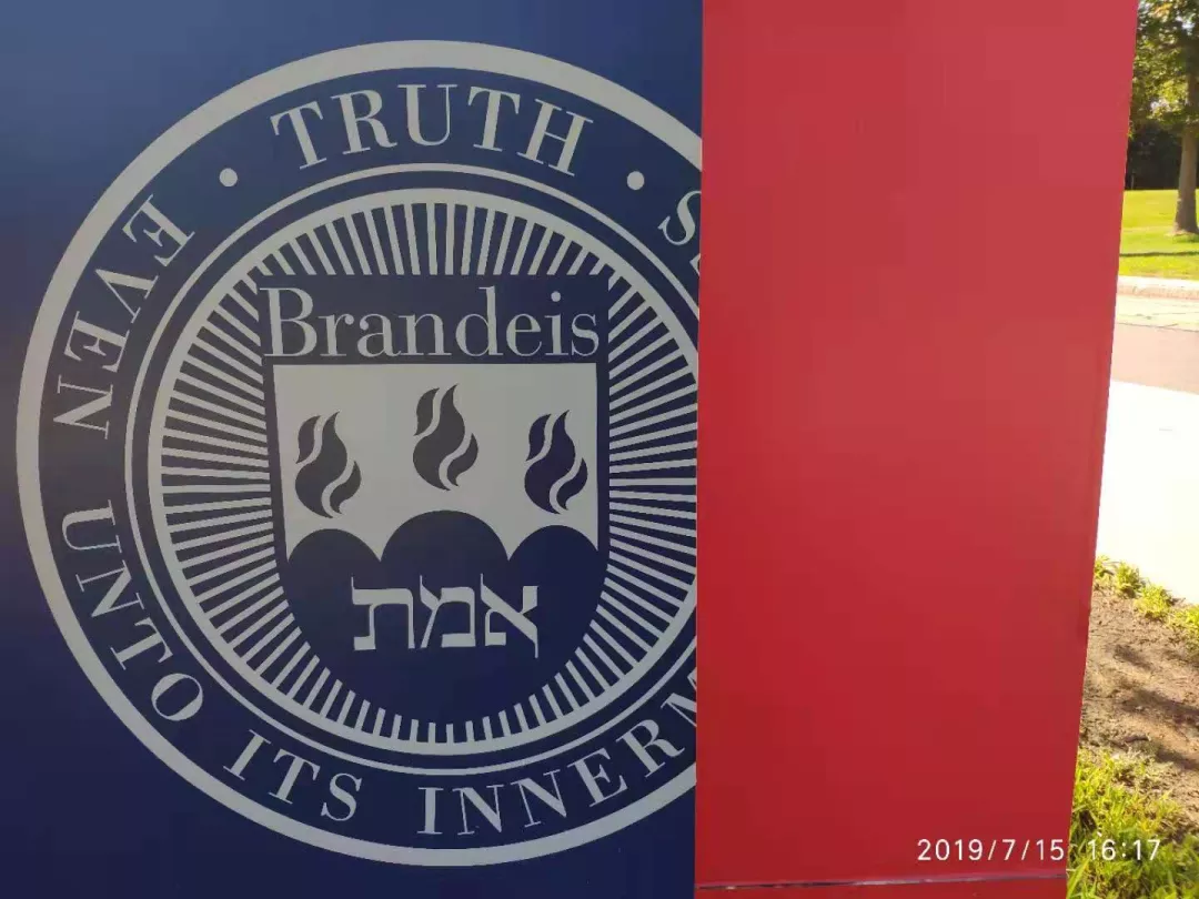 网课值不值？疫情期间，我在布兰迪斯大学的就读体验