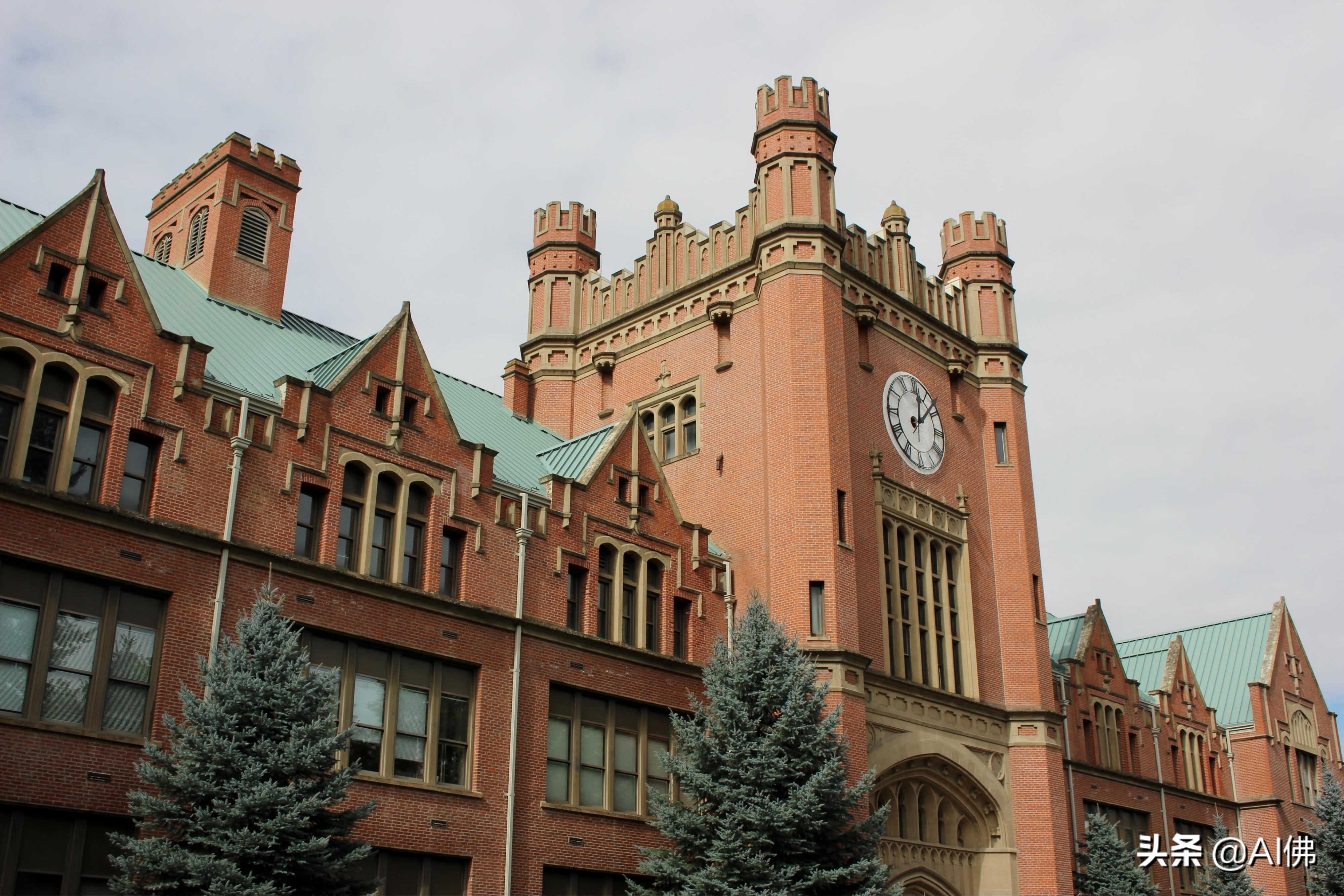 美国每个州最好的大学