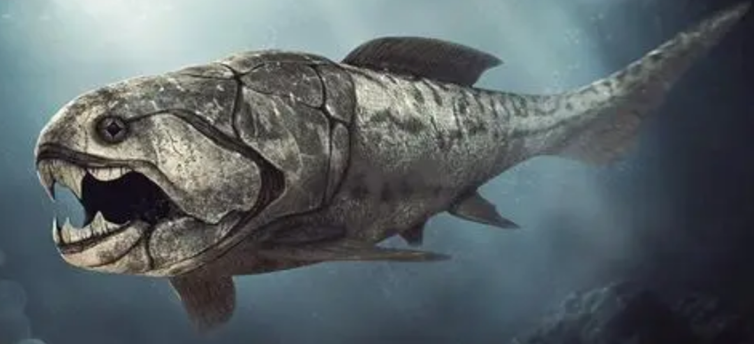 逃过四次大灭绝，能在岸边爬行的鱼，跨越3亿多年存活至今