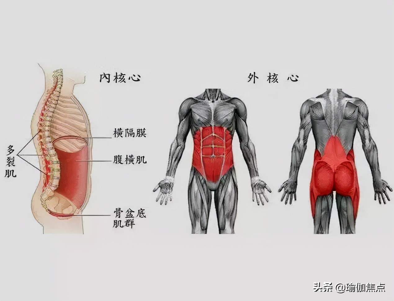 别再以为启动核心肌群就是收肚子了！7大普拉提动作，燃炸核心