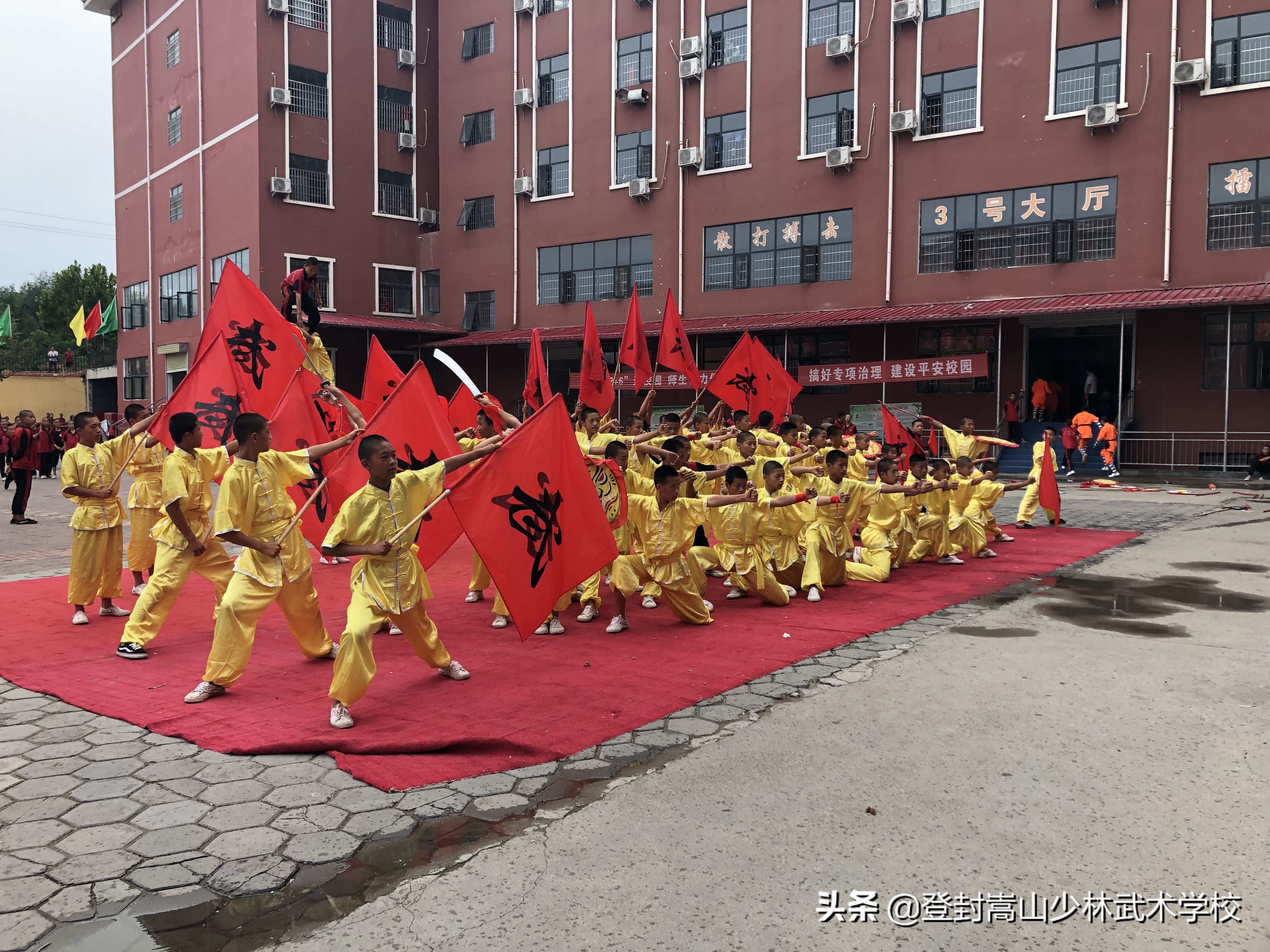武术学校的课程有哪些？今日为你盘点~记得收藏哦