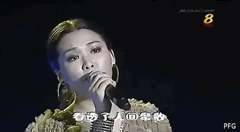 许美静为什么疯了(许美静：比肩王菲的乐坛天后为什么疯了)