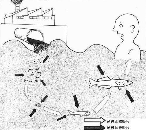 水俣病症状(人祸甚于天灾，揭秘日本的水俣病)