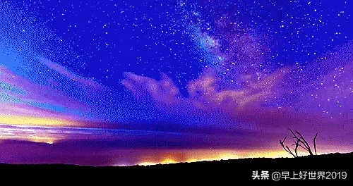 2019年专升本的看过来！河南成人高考【专升本】专业学校对照表！