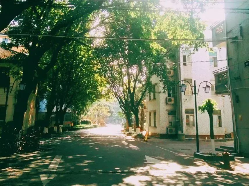 高职高考必看｜全面了解广州城市职业学院