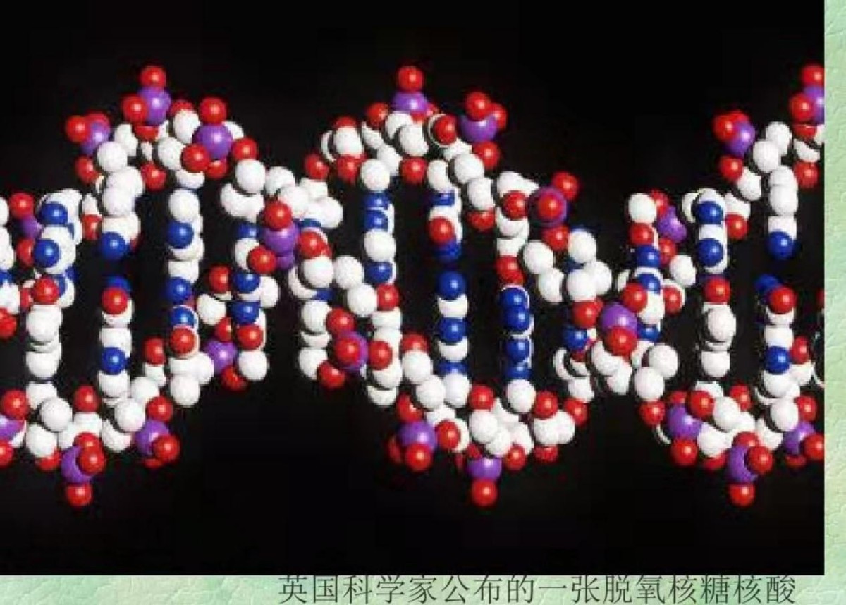 假如地球突然停止自传，人类能生存吗？或将经历着什么？