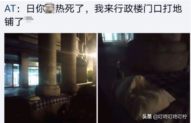 哈工大学生遭遇酷暑，无奈学校门前打地铺，学校处理方式“绝了”