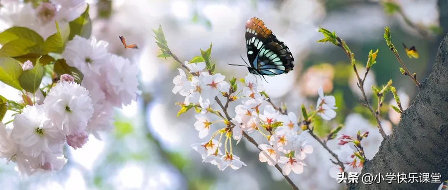 100首春天唯美古诗词（值得收藏！）