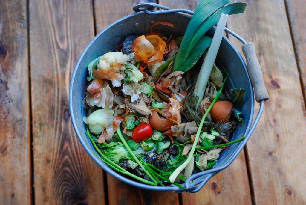 在家用垃圾桶将菜叶,果皮变成有机肥料,解答家庭堆肥常见的问题