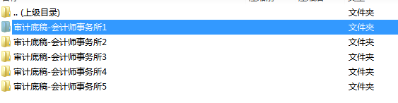 四大审计事务所、专业底稿模板（含编写方法与技巧）可修改编辑