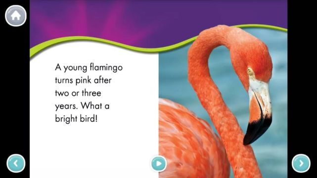 Khan Academy Kids—人手必装的免费启蒙APP