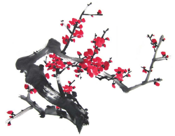 国画梅花,兰花,菊花,牡丹,荷花等常画花卉的画法