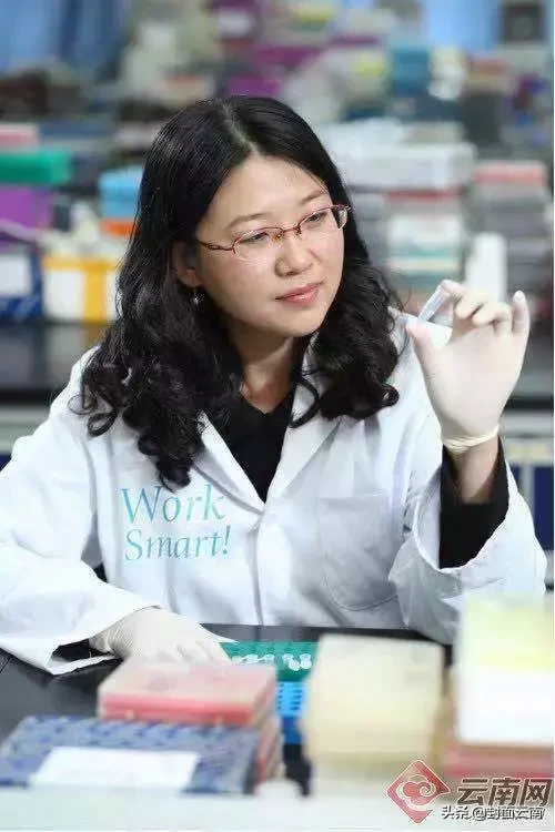 云南唯一！云大这名女博士入选2019年国家杰青名单