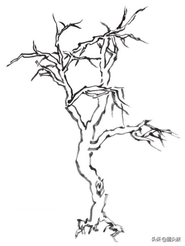 国画中柳树的画法