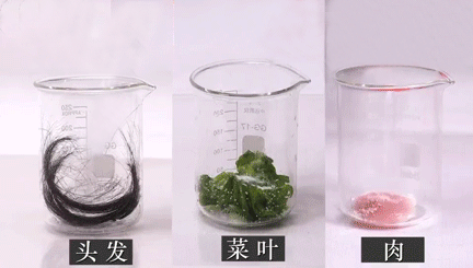 一家人受够了一楼带来的痛苦，坚持选顶楼后豁然开朗，现在很幸福