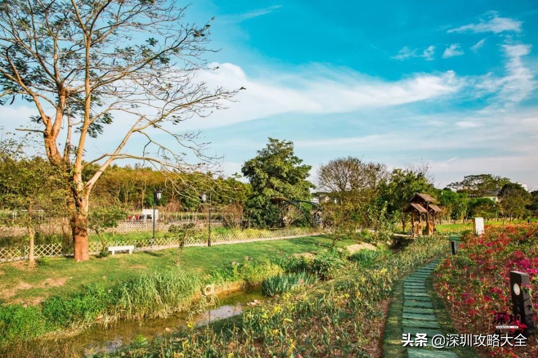 全部免费！深圳这7个绝美古村