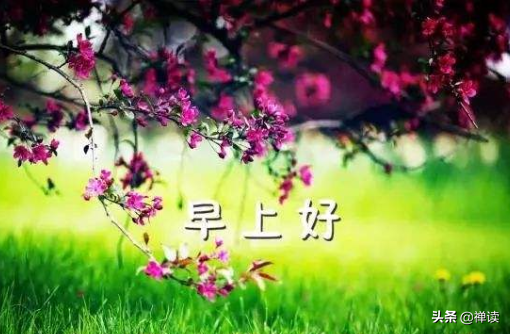 早安心语：再苦再累，只要坚持往前走，属于你的风景终会出现