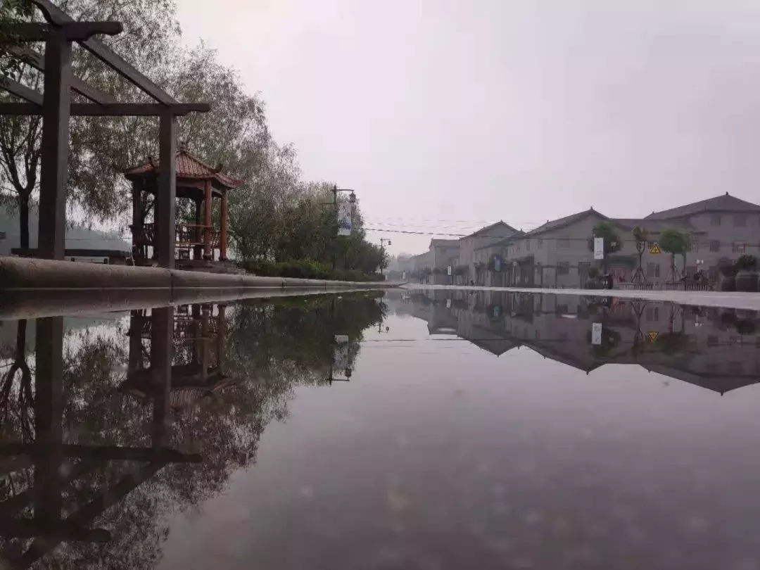 三月踏青最佳赏樱花之地,信阳这个aaaa景区免门票!