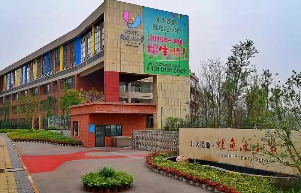 万万没想到！一年学费20万，在重庆上个小学也太贵了吧