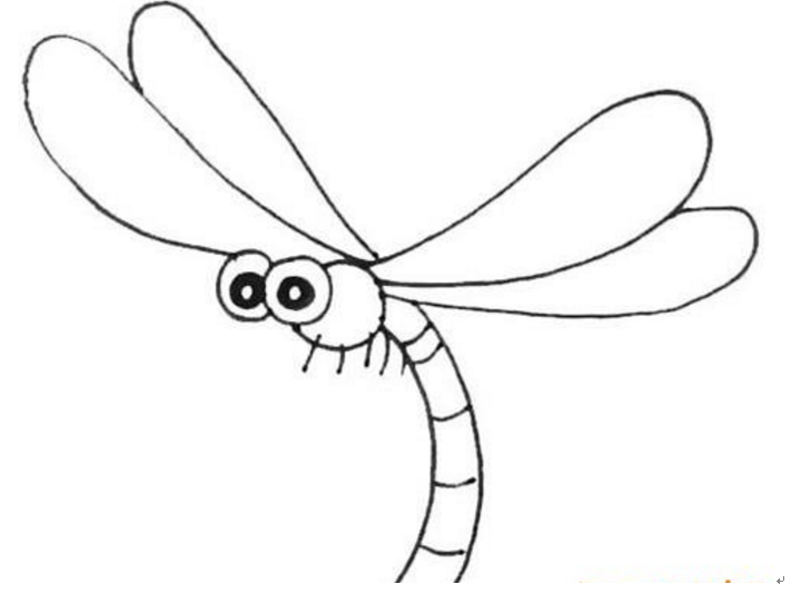 儿童简笔画教程-蜻蜓，小荷才落尖尖角 早有蜻蜓立上头