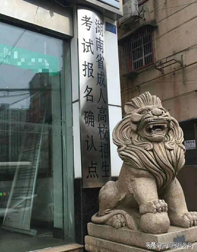 成考把分“押”在语文上面，是个明智的做法，原因有三