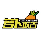 试驾｜摆脱以往的商务气息，试驾上汽大众新帕萨特330TSI