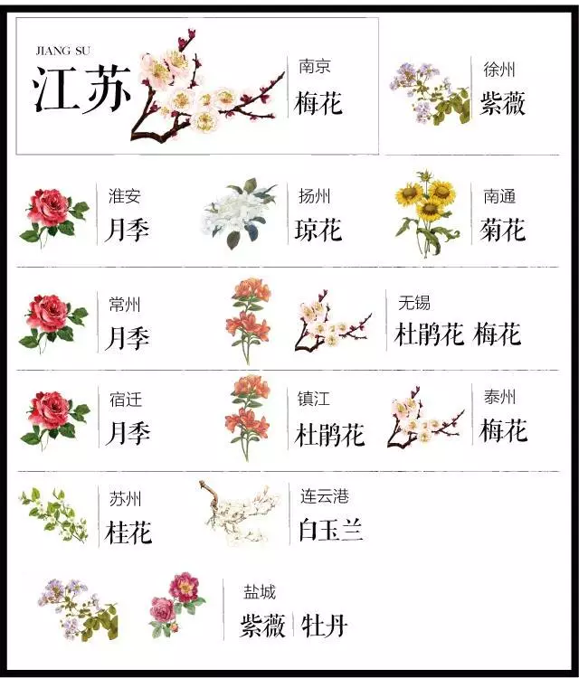 中国十大城市市花（史上最全中国各城市市花）