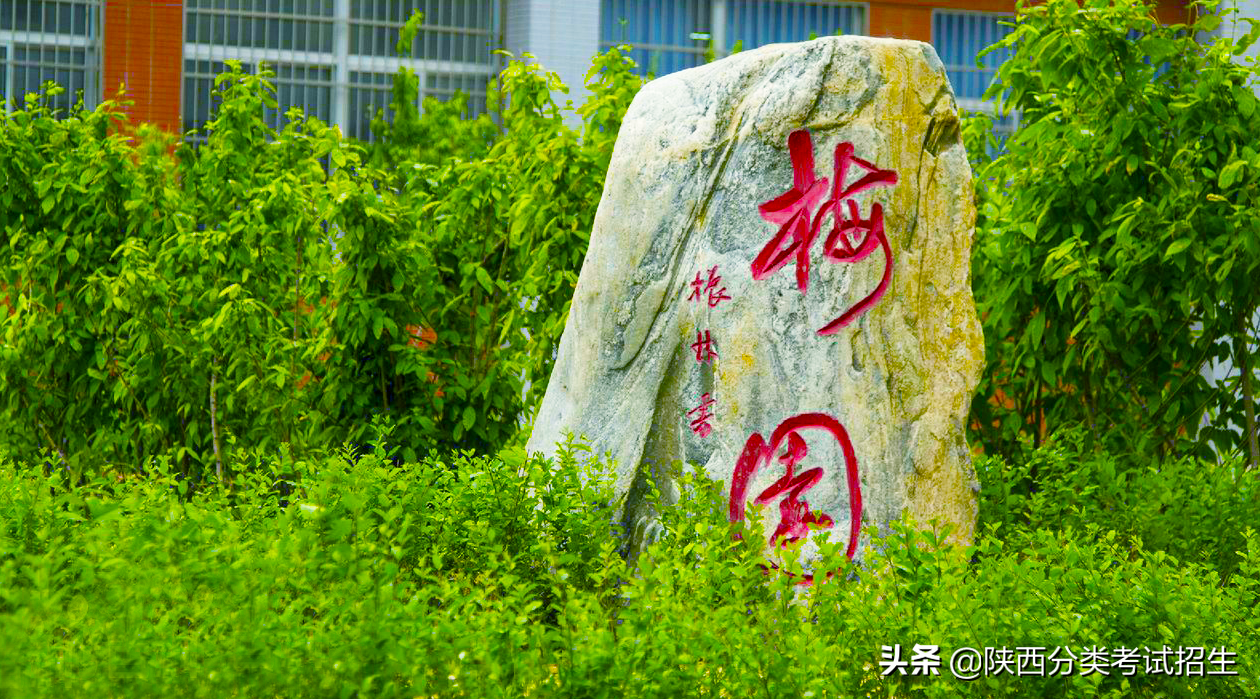 渭南职业技术学院2020年示范高职院校单独考试招生章程