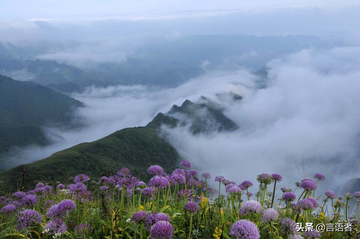 贵州十大名山