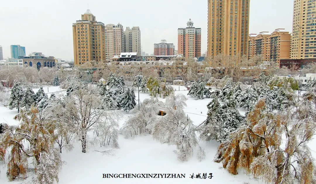 冰城暴雪冻雨之时，却让哈尔滨成为冬的水墨画卷