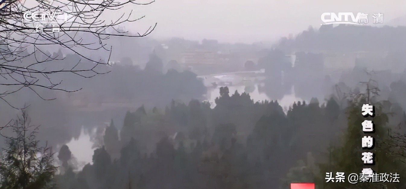 失色的花季:四川南江少女色情服务案侦破纪实