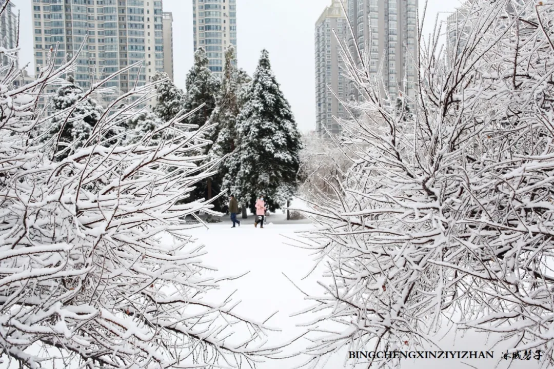 冰城暴雪冻雨之时，却让哈尔滨成为冬的水墨画卷