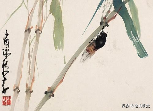 “蝉”生华丽的蜕变，“四年黑暗的苦工，一个月日光中的享乐”
