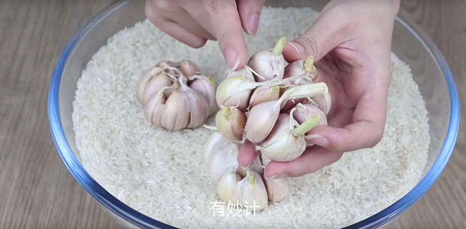 今天才了解，大米里埋几头大蒜，作用真是厉害了，解决家庭大麻烦