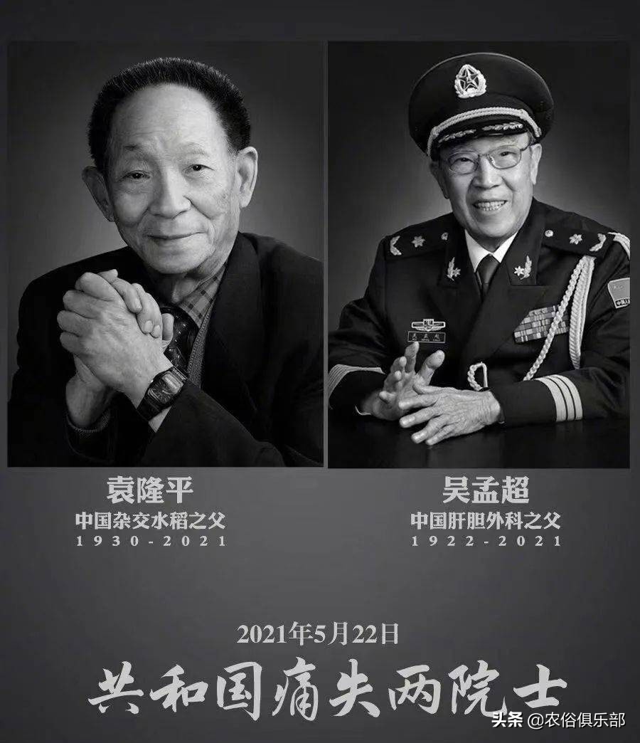 农村办白事的3个送礼习俗(白事怎样送礼)
