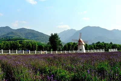 周至县特殊教育学校2020年秋季招生工作方案