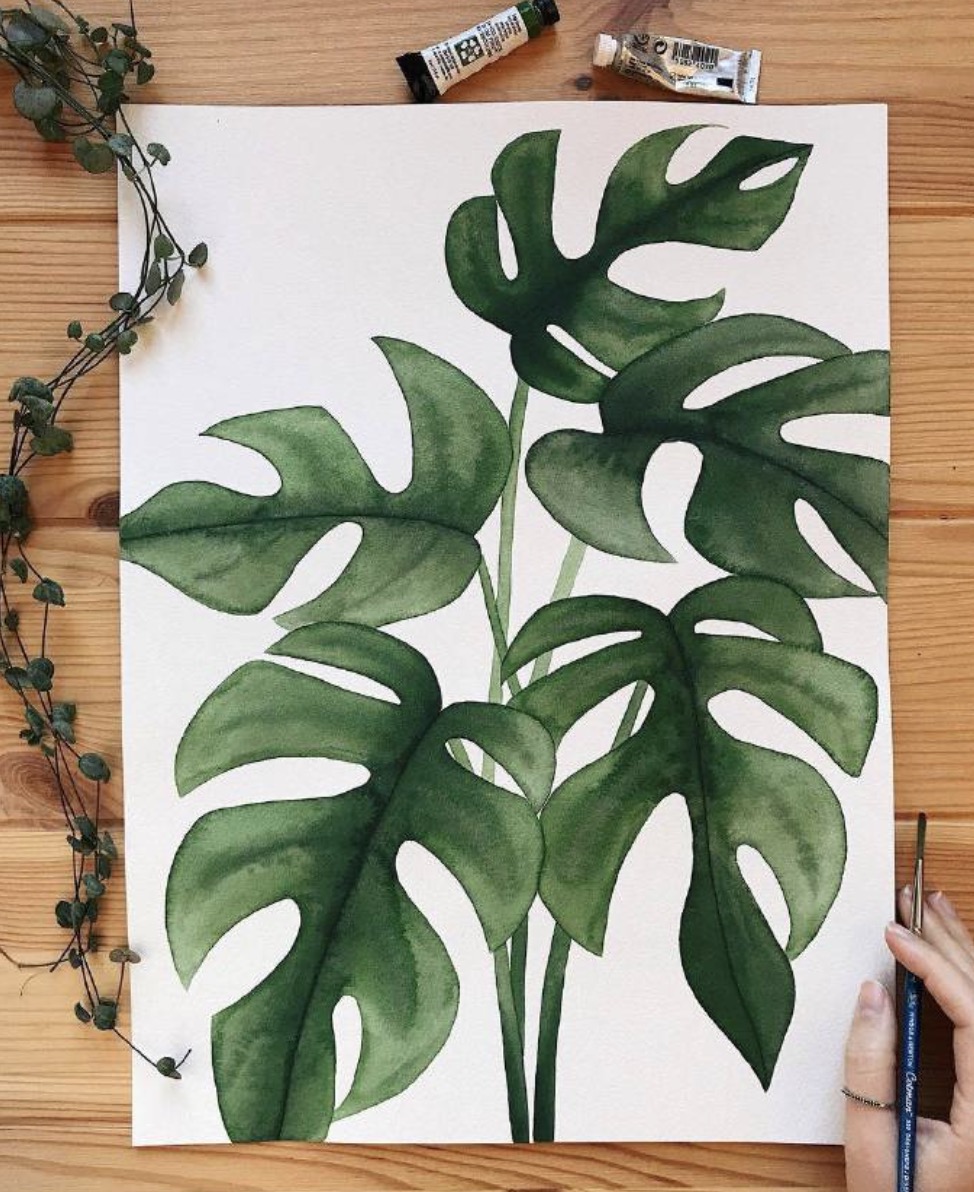 一组植物绘画