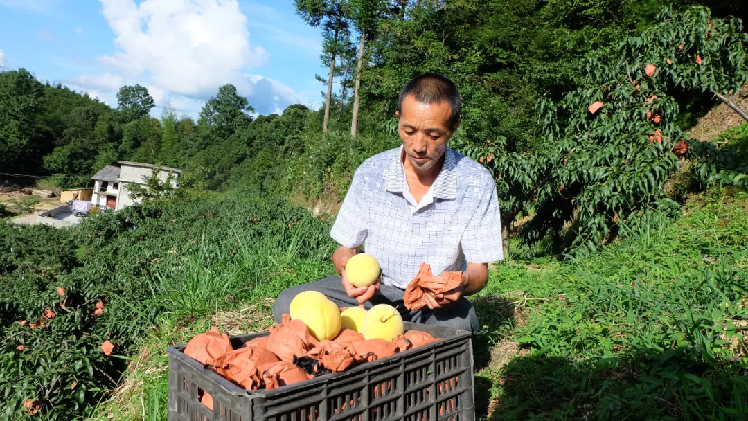 湖南高考试卷答案汇总；湖南准车主，快看你的新车还能上牌不？