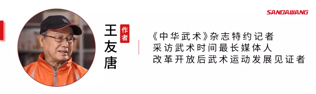 搏击奥运会都有哪些项目(观点｜著名体育记者王友唐：东京2020奥运会，带给武术什么借鉴？)