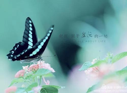 三体体现了什么宇宙人生观？三体经典语录解析