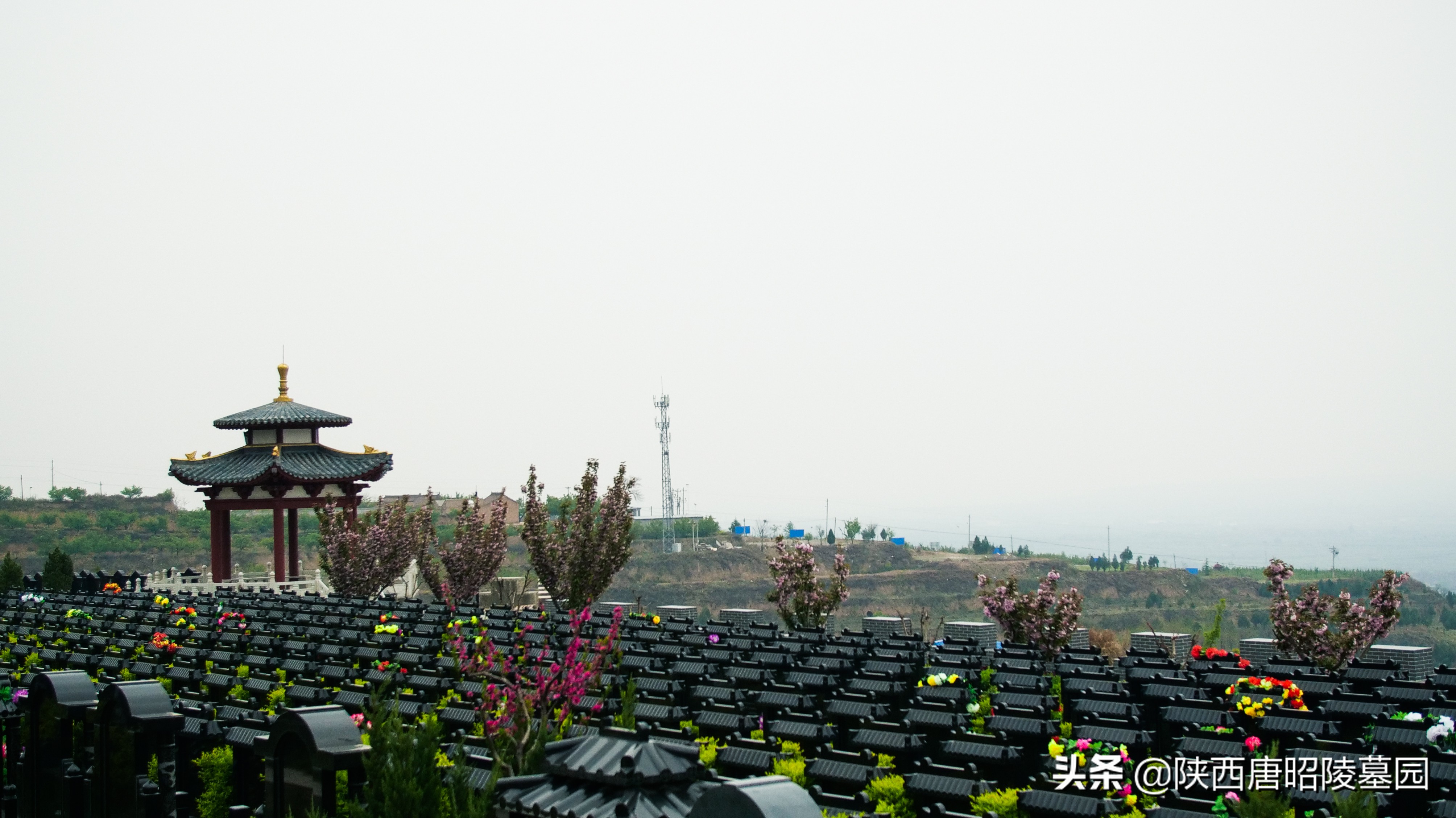 墓地使用年限,墓地使用年限多少年