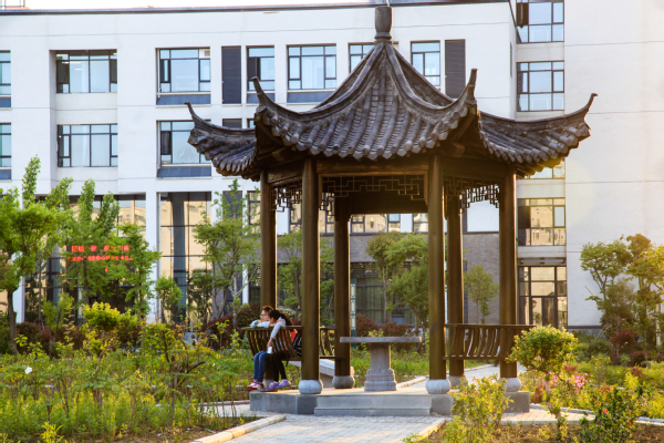 安徽中医药大学2020年招生计划，2019年分专业录取分数